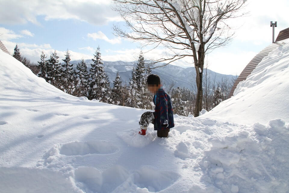 長野県で雪遊び〜子供とコテージぐるり豪雪体験！なべくら高原・森の家 アドベンチャー家族旅行
