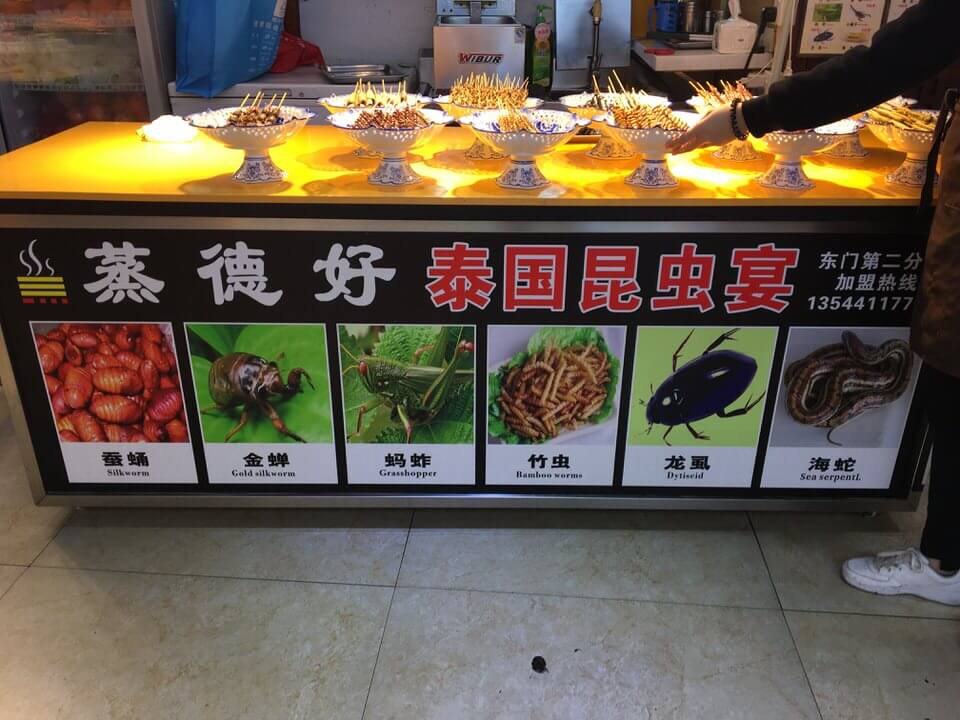 昆虫串刺し屋台
